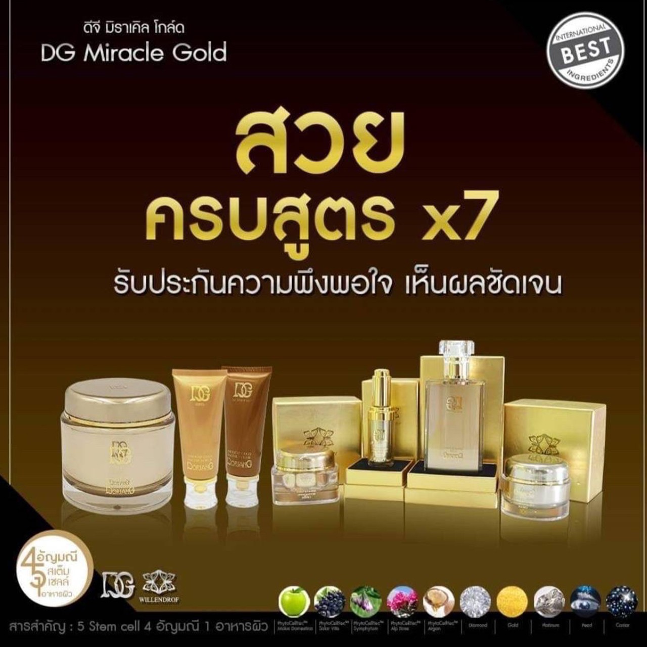 ดีจี-มิราเคิล-โกล์ด-(10)