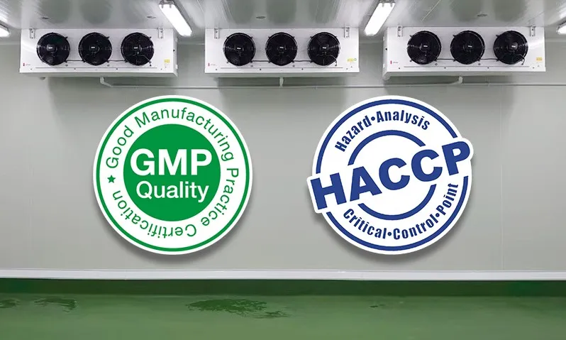 01GMP&HACCP