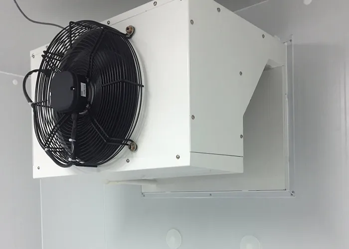 Pd1-2
