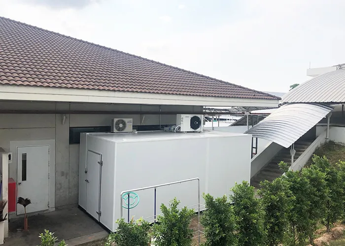 dplusthailand-0