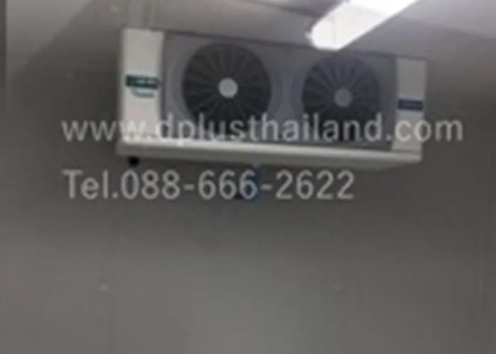 dplusthailand5