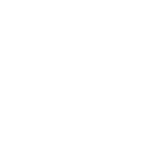 tiktok(2)