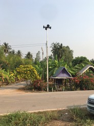 S31989767