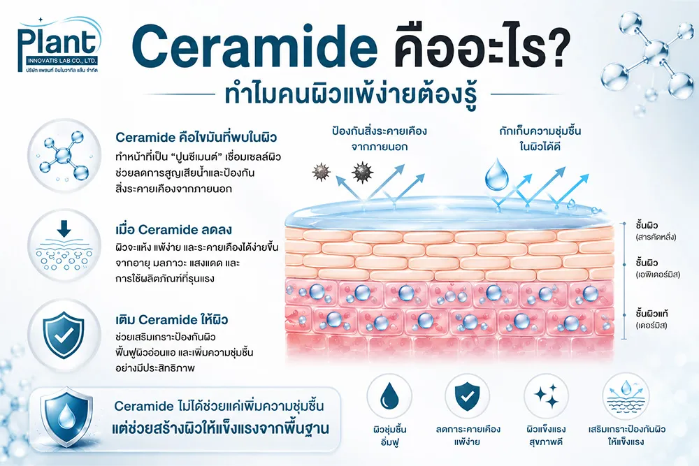 Ceramide-คืออะไร-ทำไมคนผิวแพ้ง่ายต้องรู้