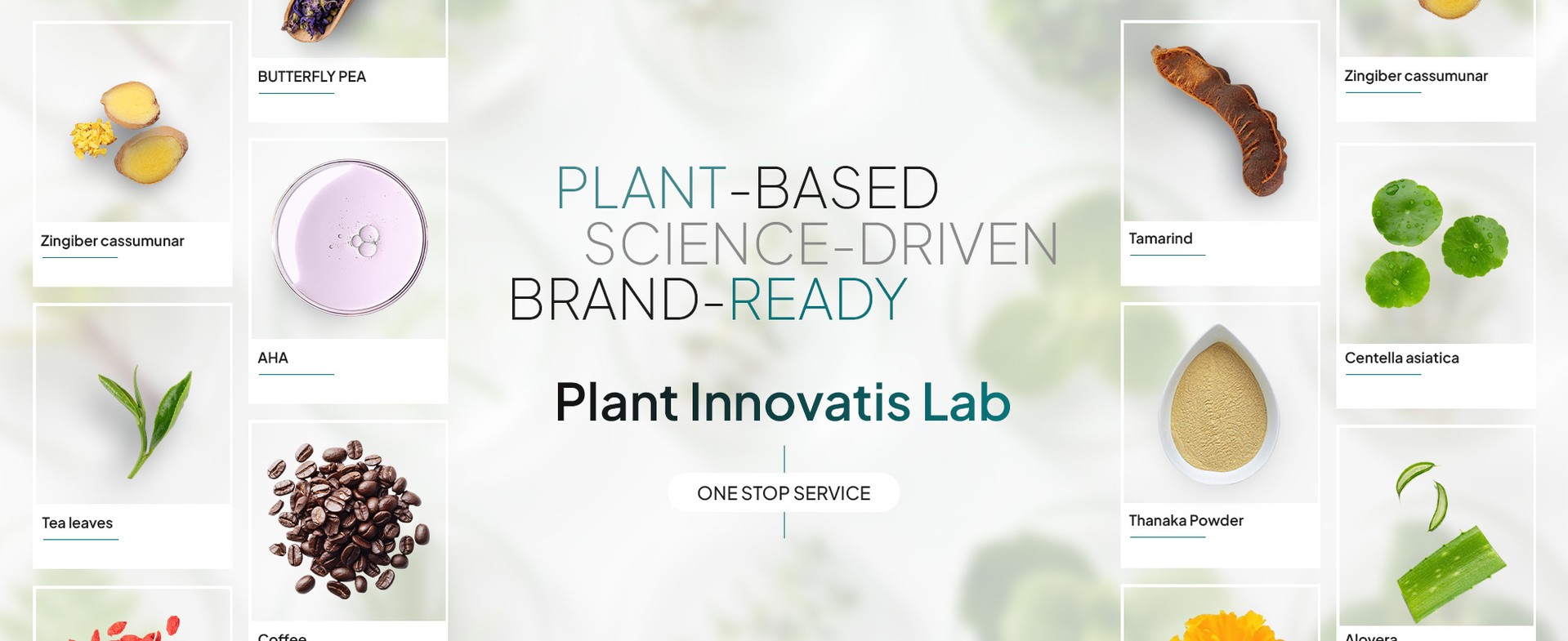 plantinnovatislabslide3