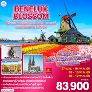 ทัวร์ฝรั่งเศส เบลเยี่ยม ลักเซมเบิร์ก เยอรมนี เนเธอร์แลนด์ 8 วัน 5 คืน - GO3CDG-EK003