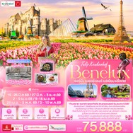 ทัวร์เยอรมันเนเธอร์แลนด์เบลเยียมฝรั่งเศส8วัน5คืน-GEK135