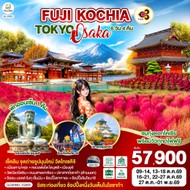 ทัวร์ญี่ปุ่นFUJIKOCHIATOKYOOSAKA6D4N-GO2HND-TG055