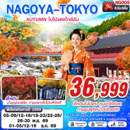 ทัวร์ญี่ปุ่น NAGOYA-TOKYO AUTUMN ใบไม้แดงใกล้ฉัน 5D3N - NGO05