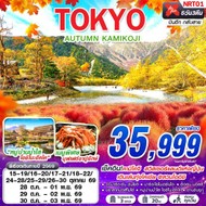 ทัวร์ญี่ปุ่นTOKYOAUTUMNKAMIKOJI5D3N-NRT01