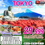 ทัวร์ญี่ปุ่น TOKYO AUTUMN โคเชียใบไม้แดง 5 วัน 3 คืน - NRT02