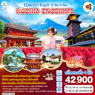 ทัวร์ญี่ปุ่นTOKYOFUJIKOCHIAENOSHIMA6D3N-GO2HND-TG051