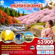 ทัวร์ญี่ปุ่นTOKYOOSAKAOBARAKORANKEIAUTUMN6D4N-GO2HND-TG056
