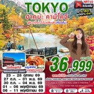 ทัวร์ญี่ปุ่น TOKYO ฮาคุบะ-คามิโคจิ ฟูจิ นาโกย่า ใบไม้เปลี่ยนสี 6D4N - NRT10
