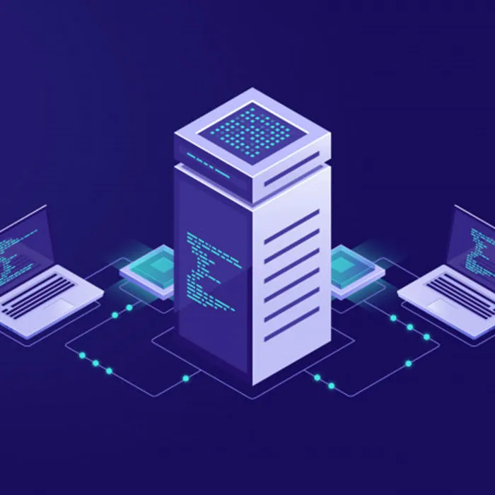 winsorsolutions-services5