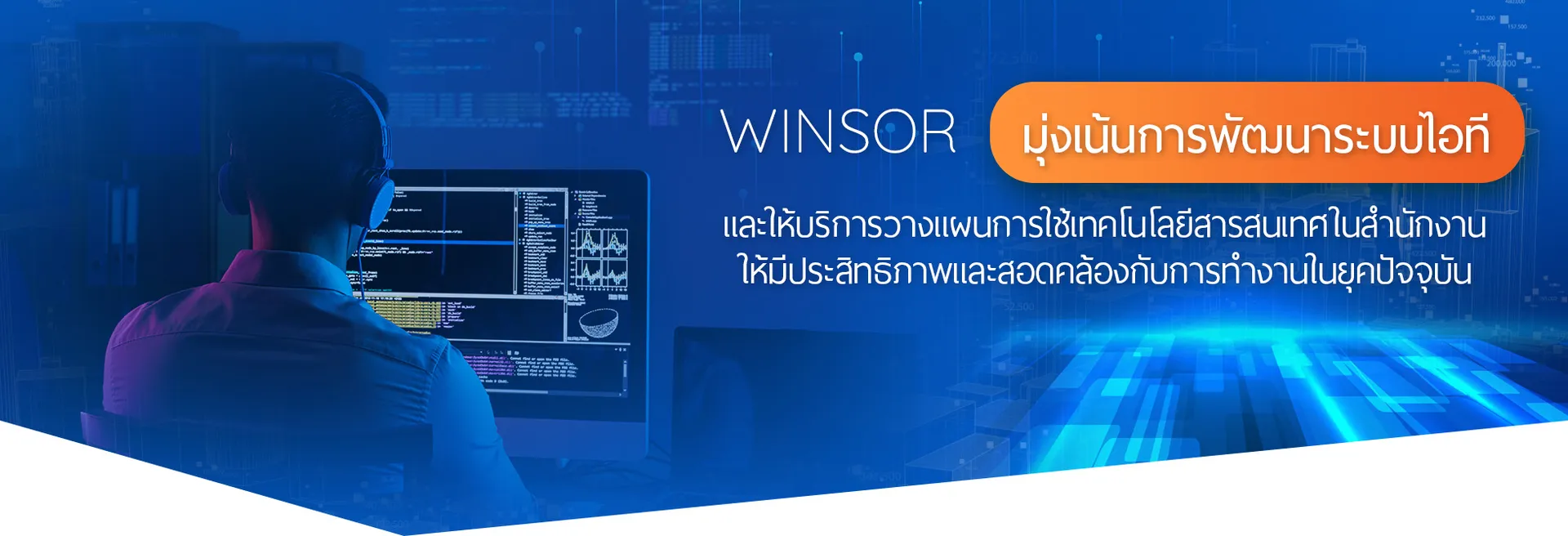 winsorsolutionsslide3edit2