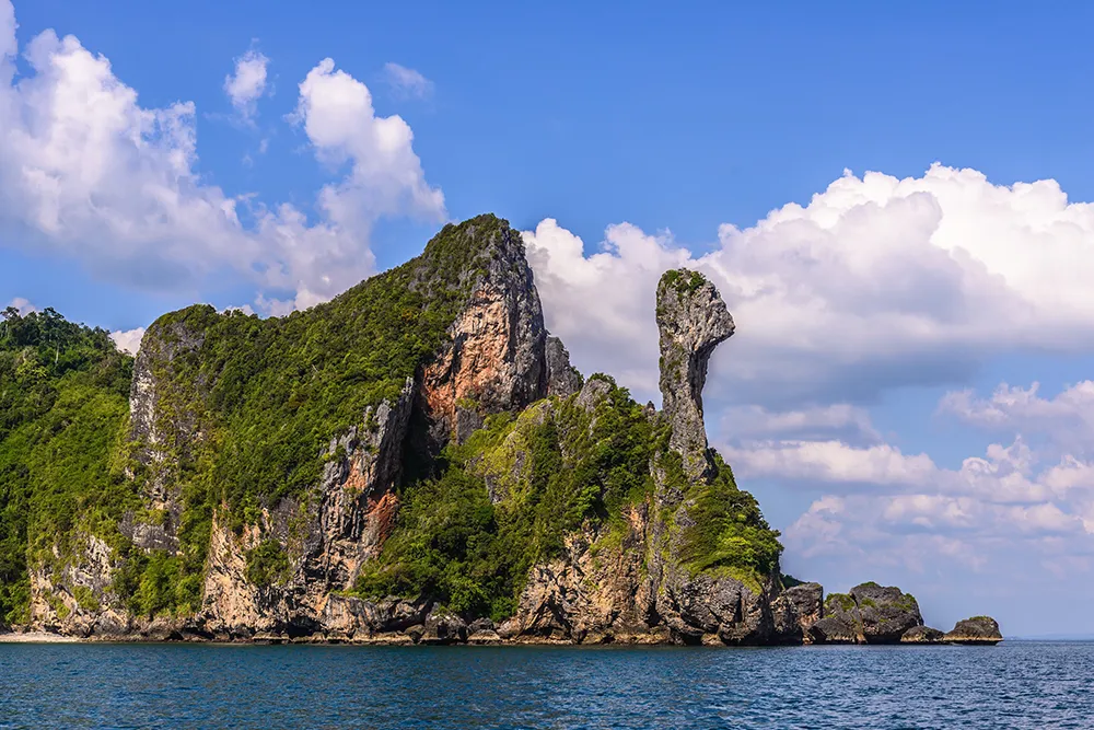 8-Chicken-Island