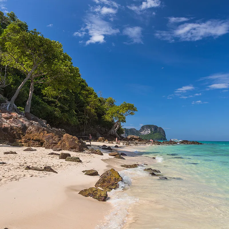 Phi Phi Islands - Bamboo Tour