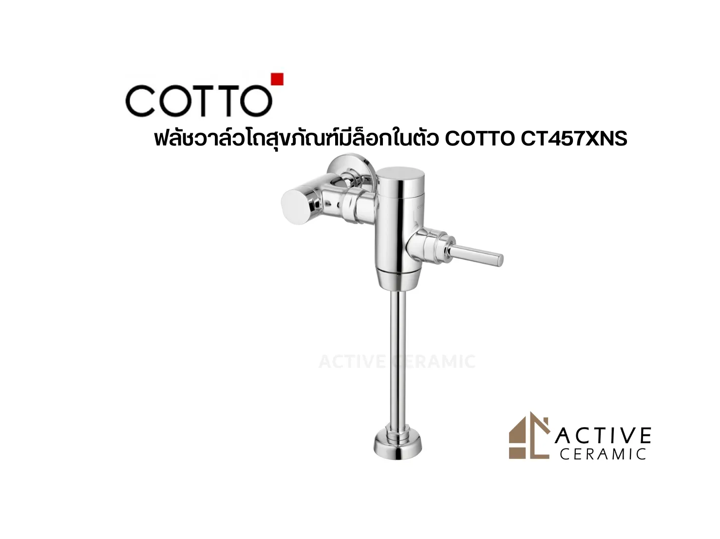 COTTOTOTO(3)