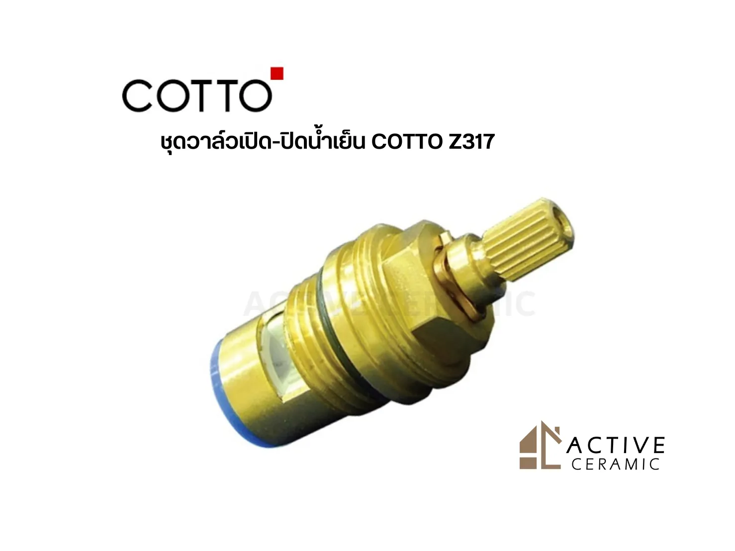 ชุดวาล์วเปิด-ปิดน้ำเย็นCOTTOZ317
