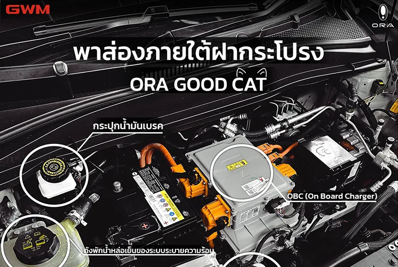 พาส่องห้องเครื่อง-เจ้าเหมียวไฟฟ้า