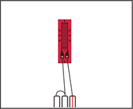 SG50