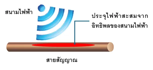 รูปภาพ1