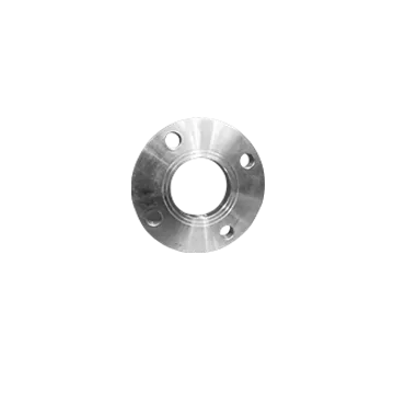 SlipOnFlanges304
