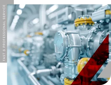 FAST-&-PROFESSIONAL-SERVICE