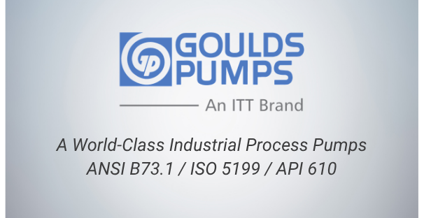 10. Goulds Pumps