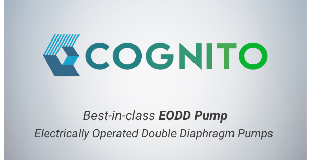 6. Cognito_EODD