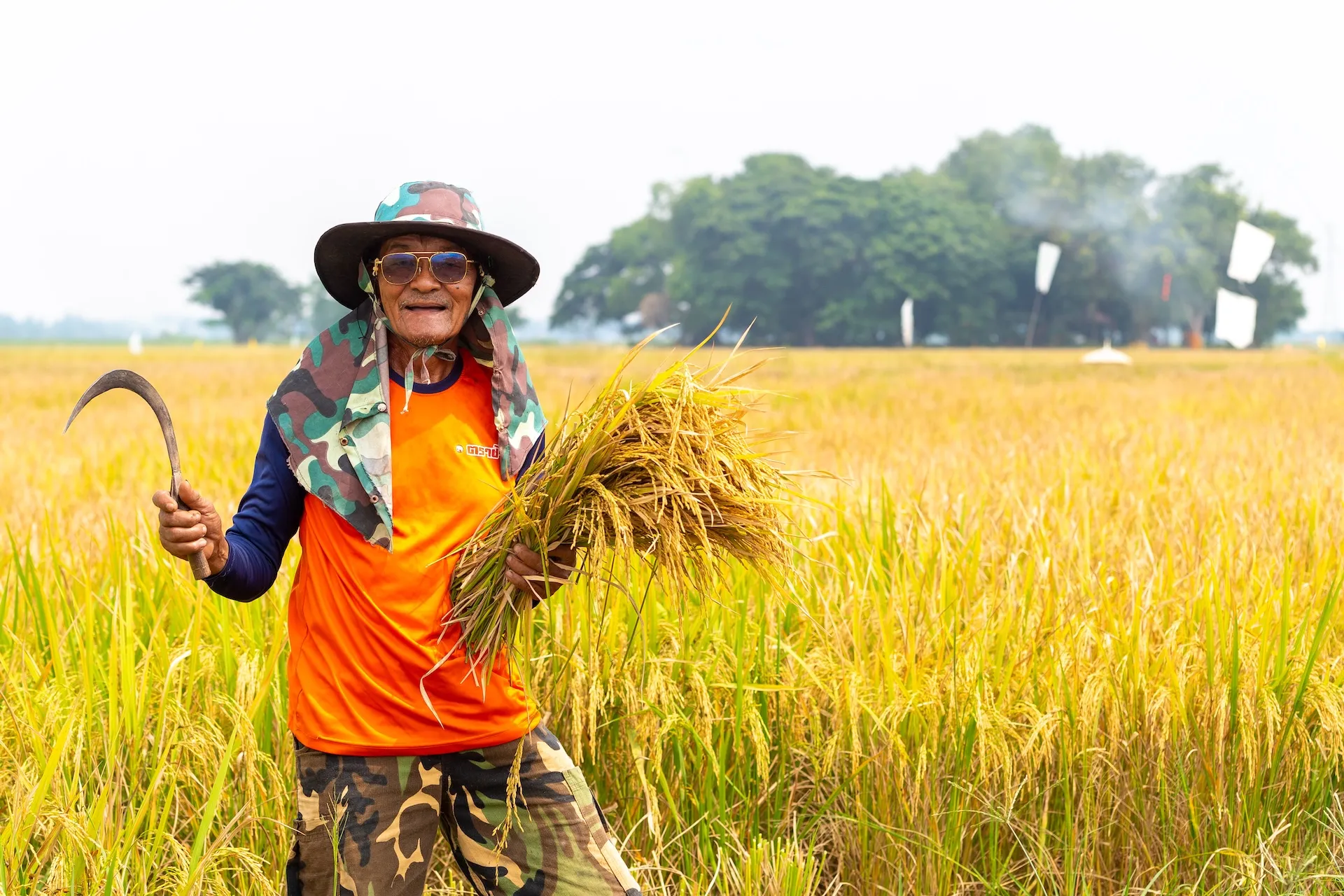 AngThong-RiceField(ทุ่งนา)225047OXcopy