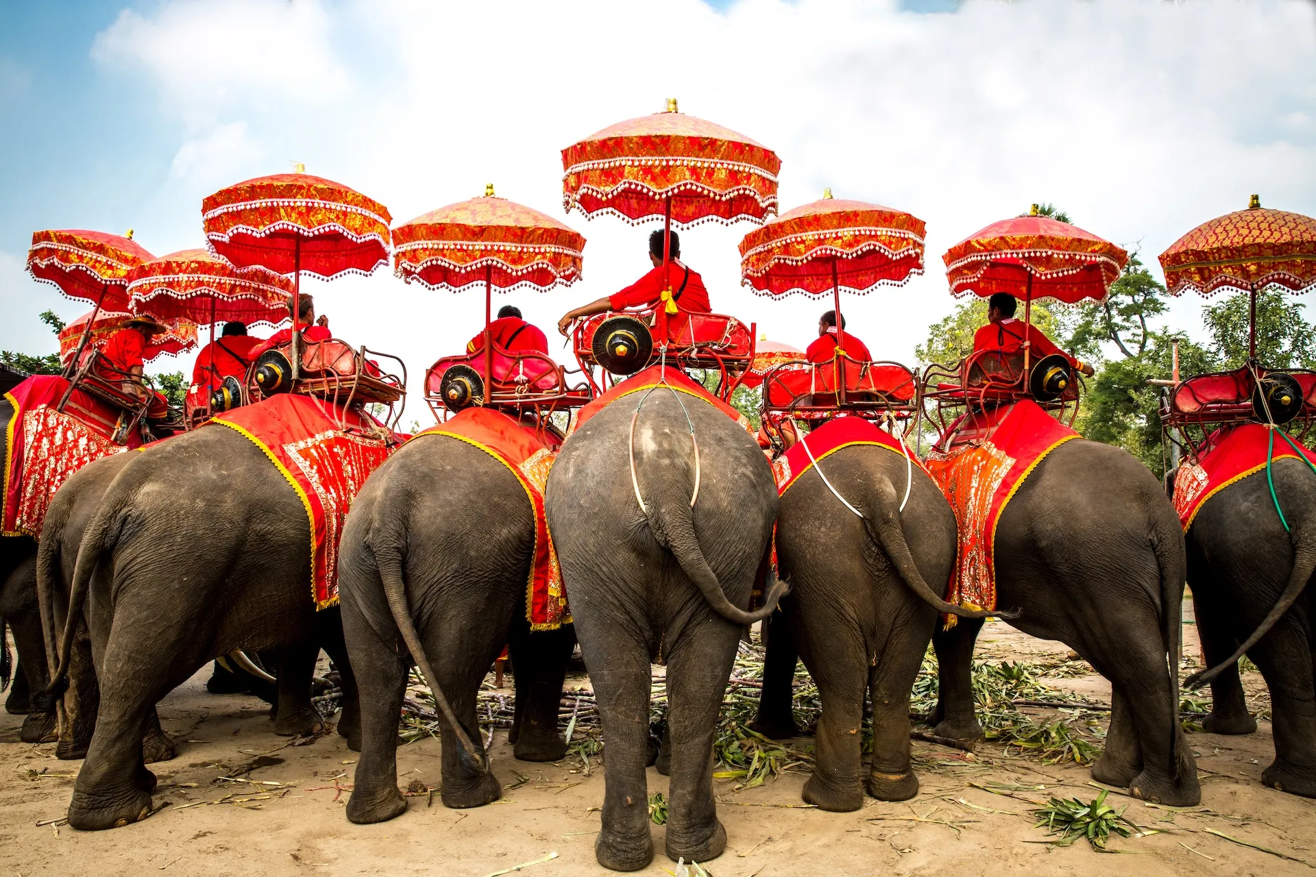 AyutthayaElephantPalace&RoyalKraalcopy