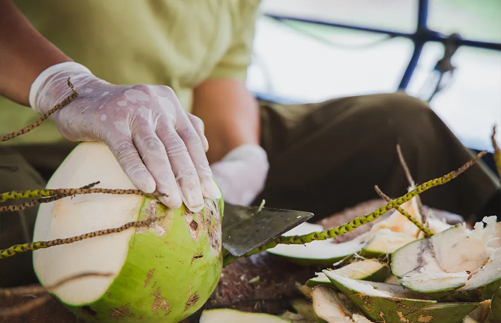 Coconut-Culture