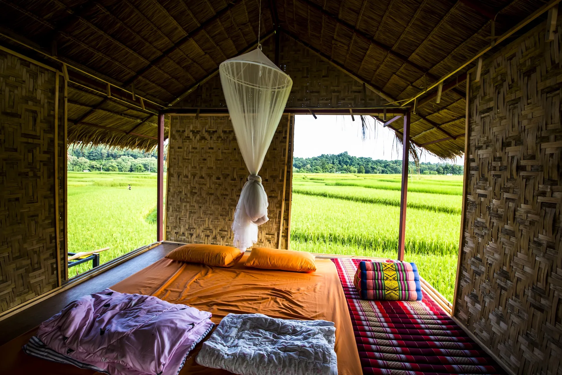 Homestayinthenaturericefieldsofpuadistrict,nan,thenorthofthailandshutterstock736059328copy