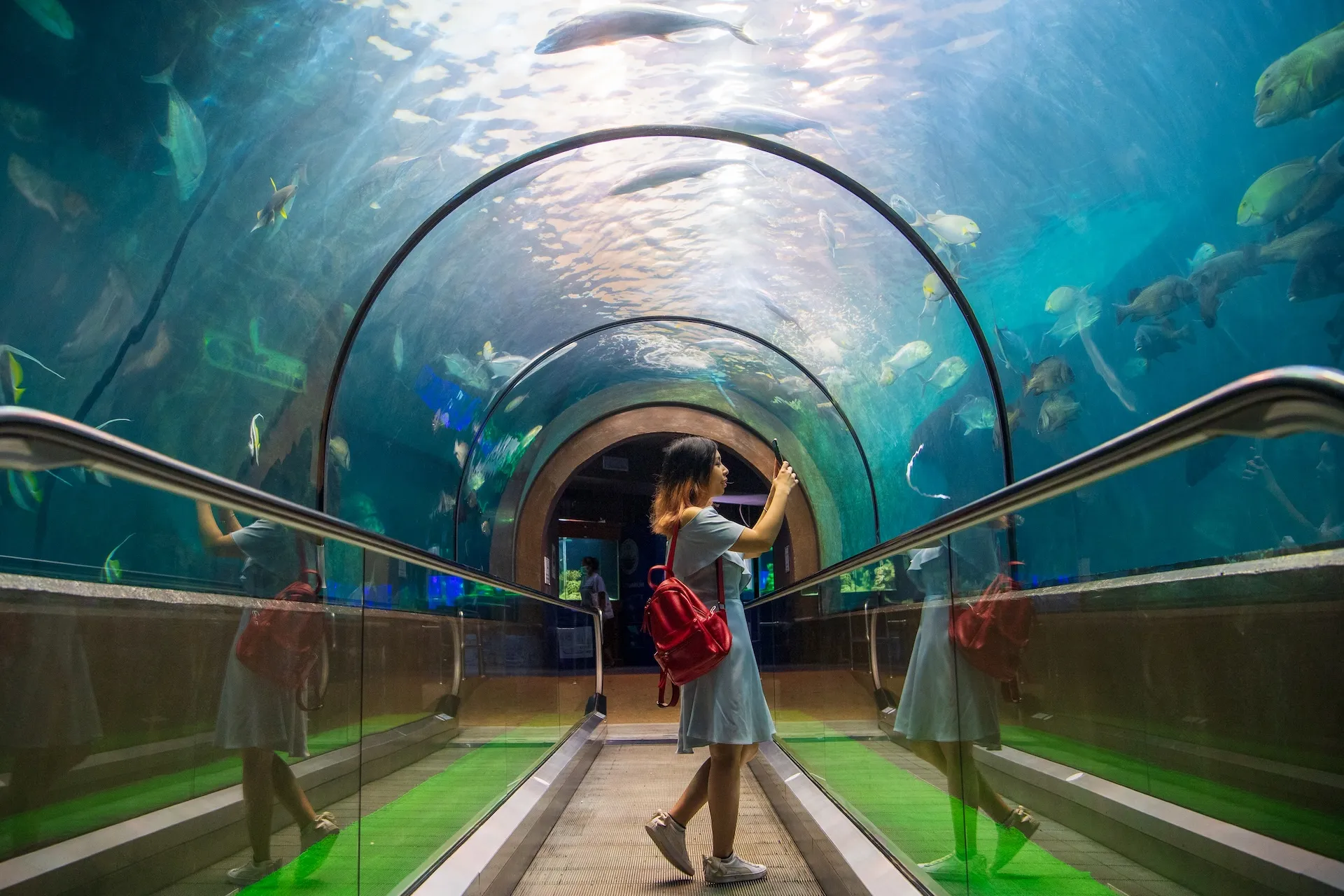 Phuket-PhuketAquarium(สถานแสดงพันธุ์สัตว์น้ำภูเก็ต)203393OXcopy