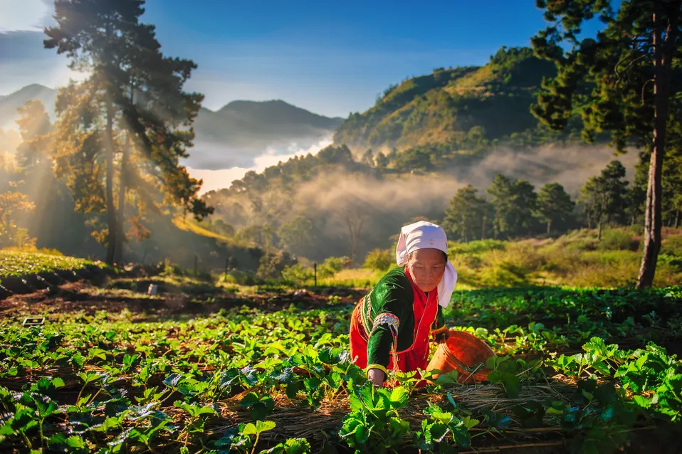 ChiangMai-RoyalAgriculturalStationAngkhangcopy