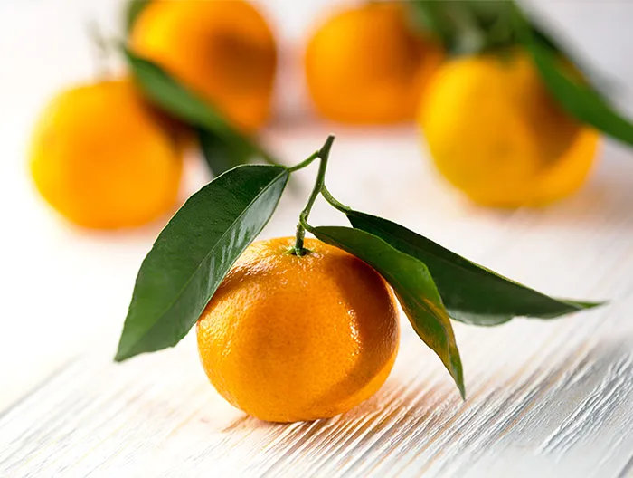 appetizing-tangerines-close-up-table