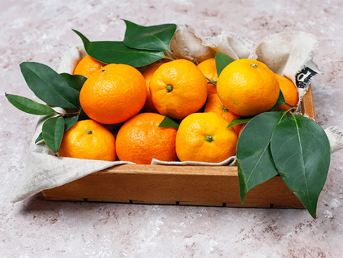 tangerines-oranges-clementines-citrus-fruits-with-green-leaves-concrete-surface-with-copy-space