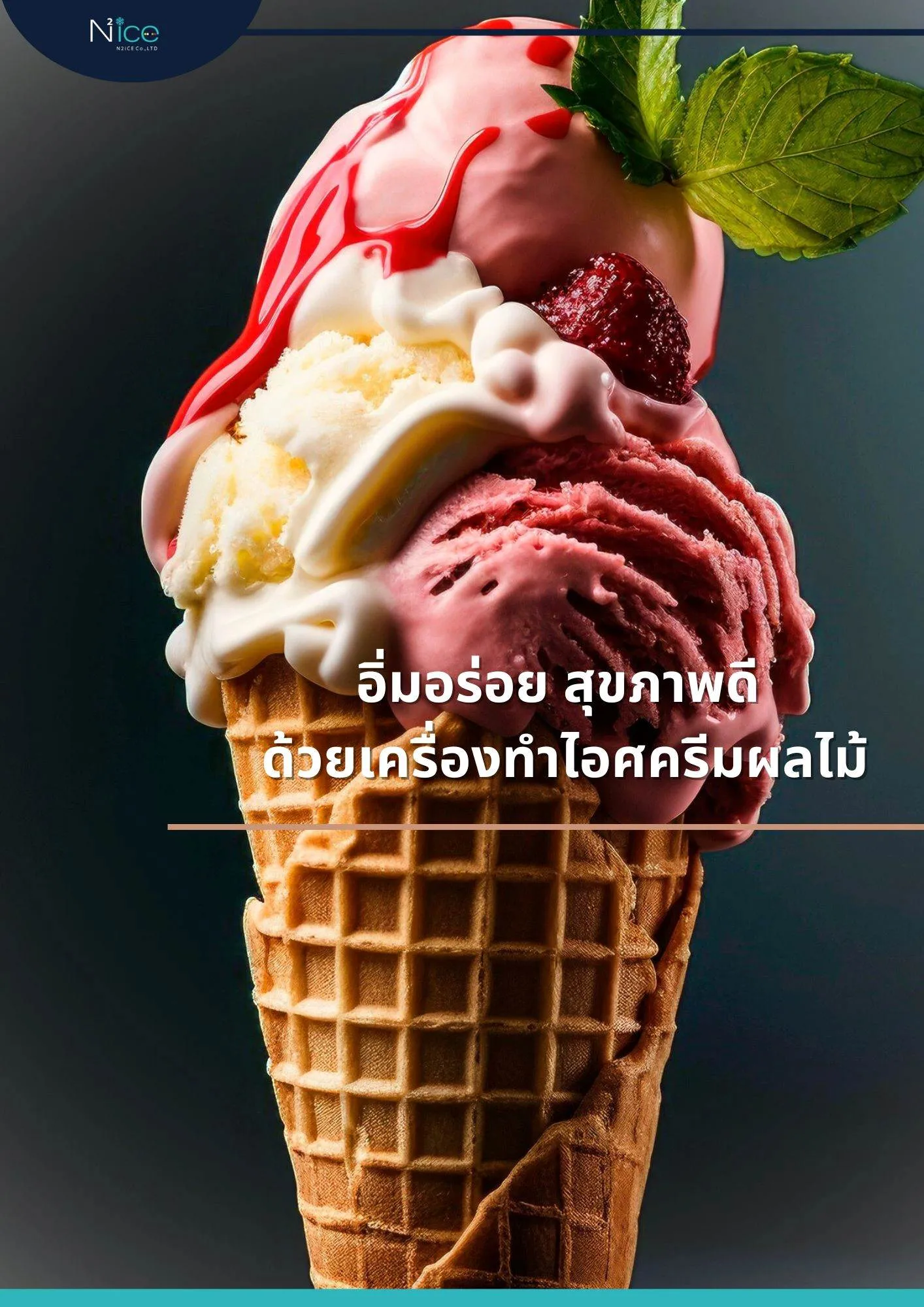 เครื่องทำไอศครีมผลไม้