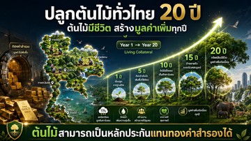 messageImage17861566171650
