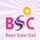 โลโก้BSC
