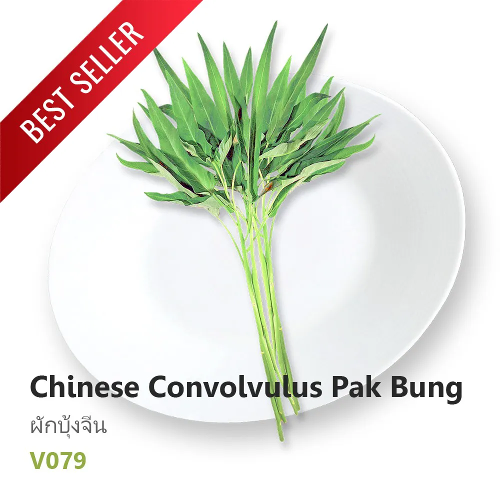 Best-Seller-ผักบุ้งจีน
