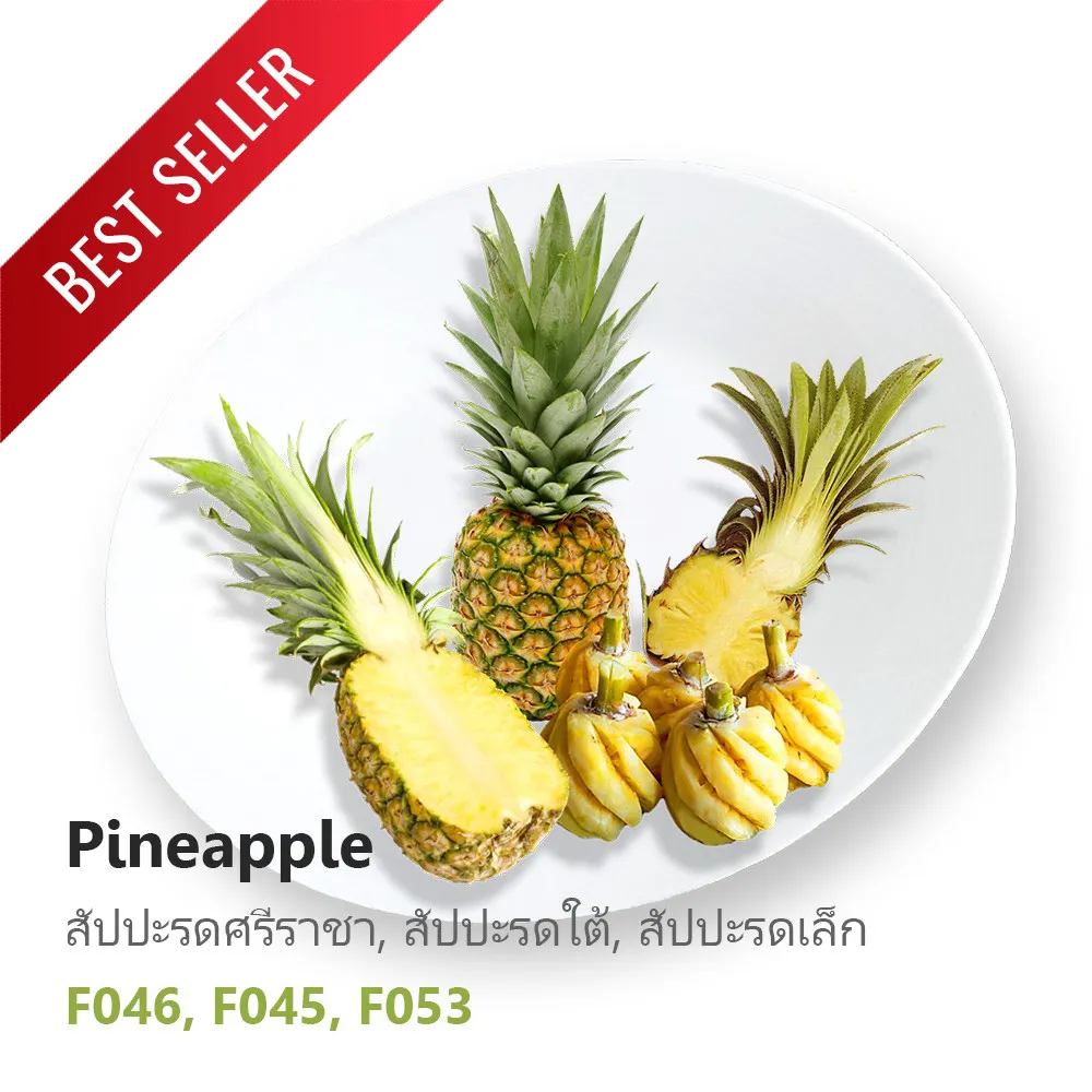 Best-Seller-สัปปะรด