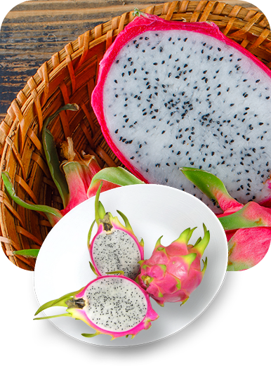 alisainter-fruit2
