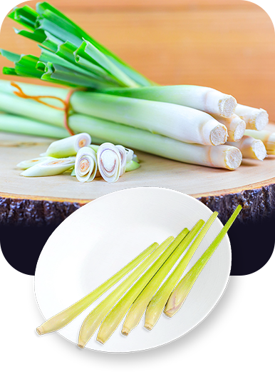 alisainter-vegetables2