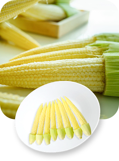 alisainter-vegetables3