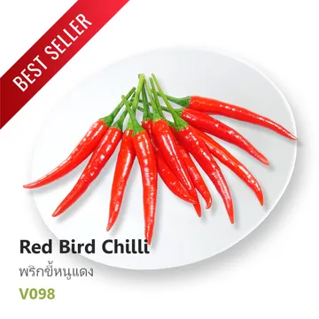 Best-Seller-8