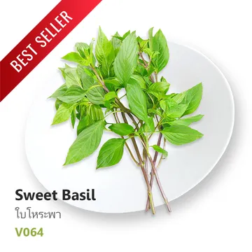 Best-Seller-9