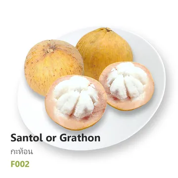 F002---กะท้อน-Santol-or-Grathon